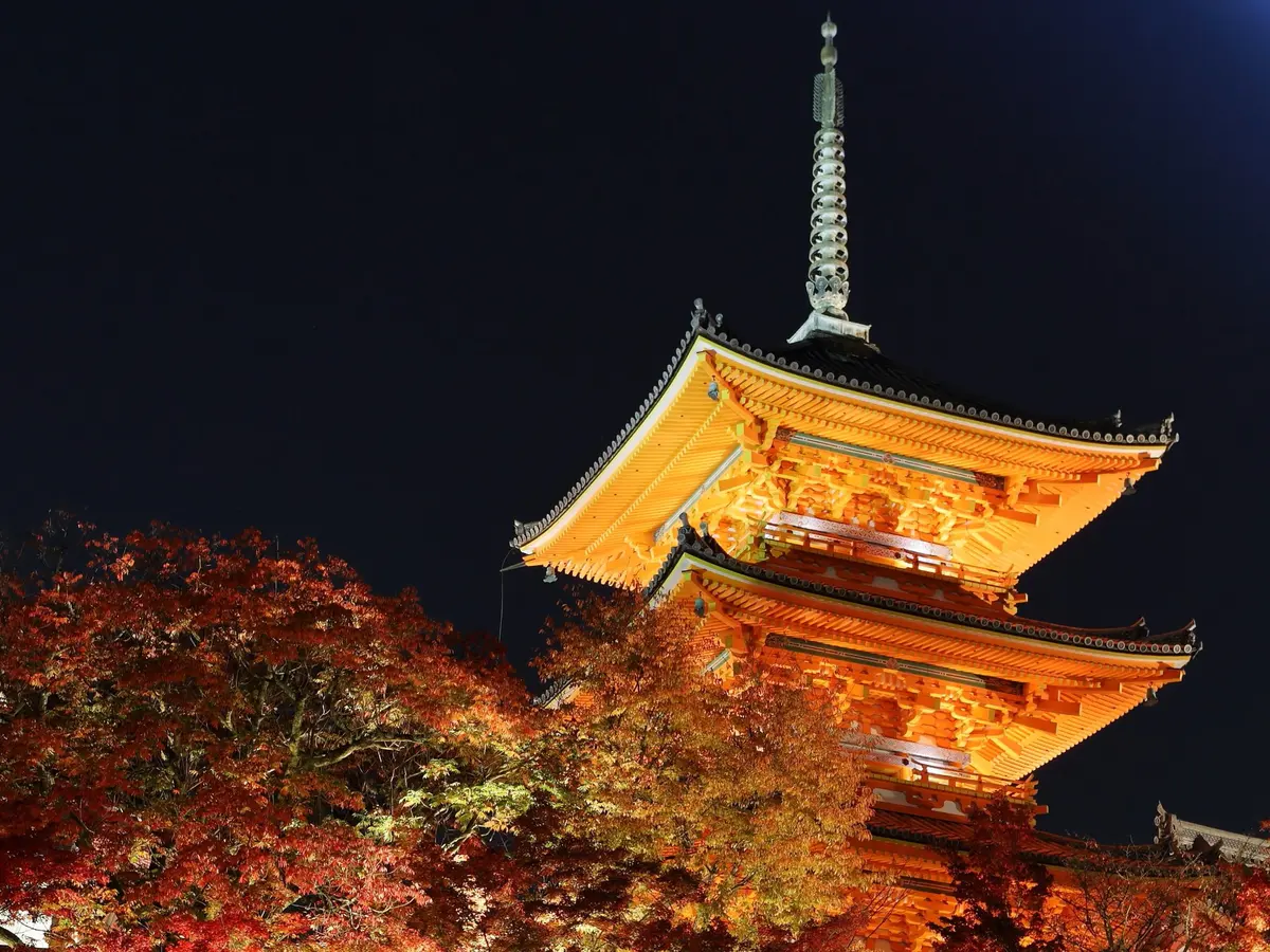 夜空下點燈中的清水寺三重塔與紅葉