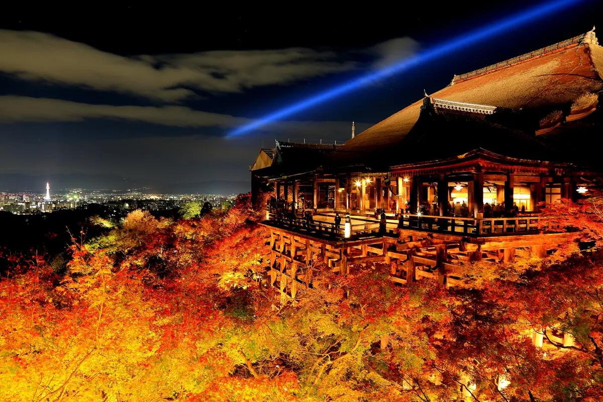 夜空中延伸著藍色光束，點燈中的清水寺舞台與紅葉