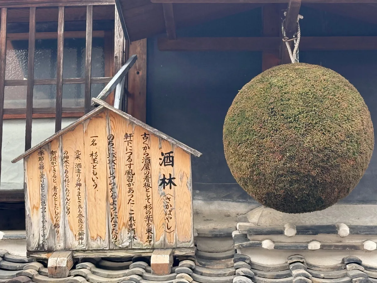 A sakabayashi (sugidama) cedar ball beside a signboard explaining its origin
