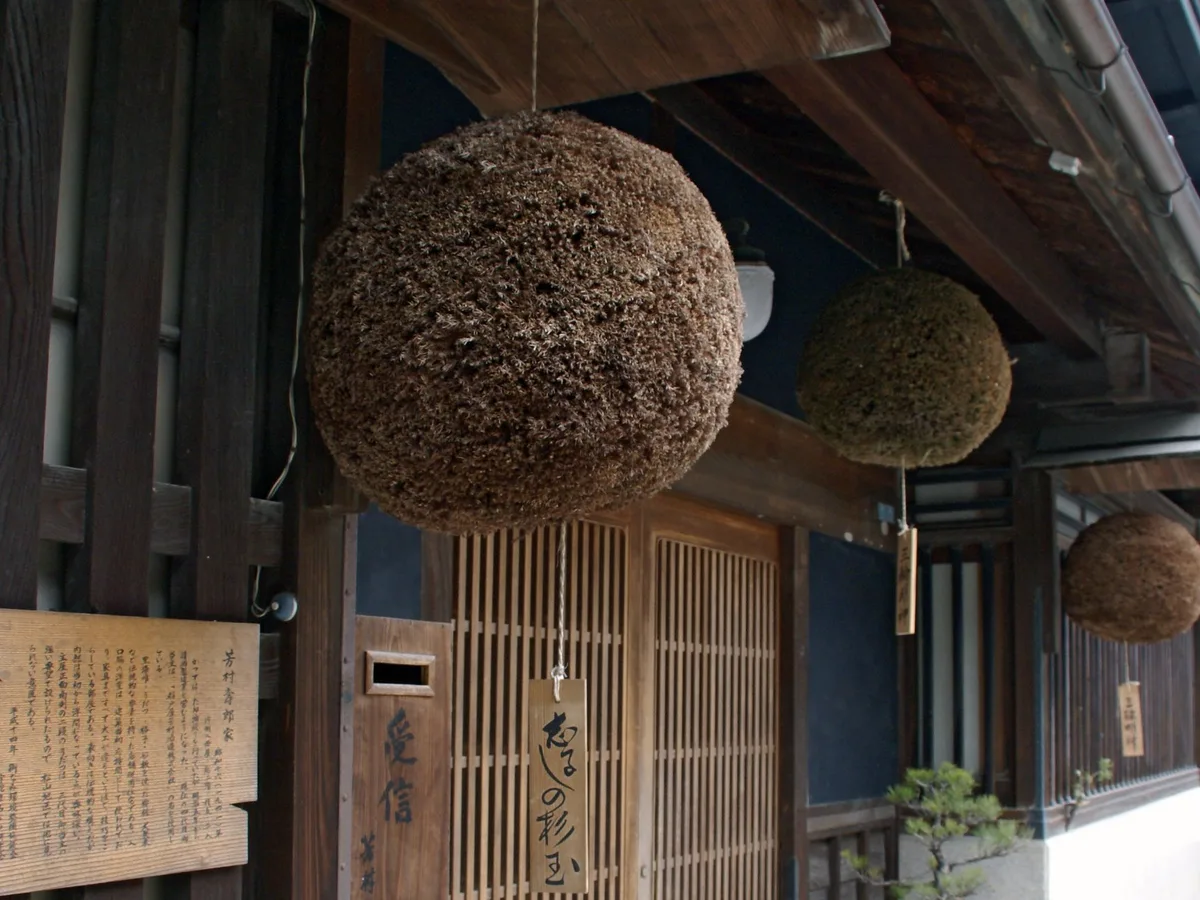 Sugidama cedar balls hanging under the eaves of a sake brewery in Uda, Nara